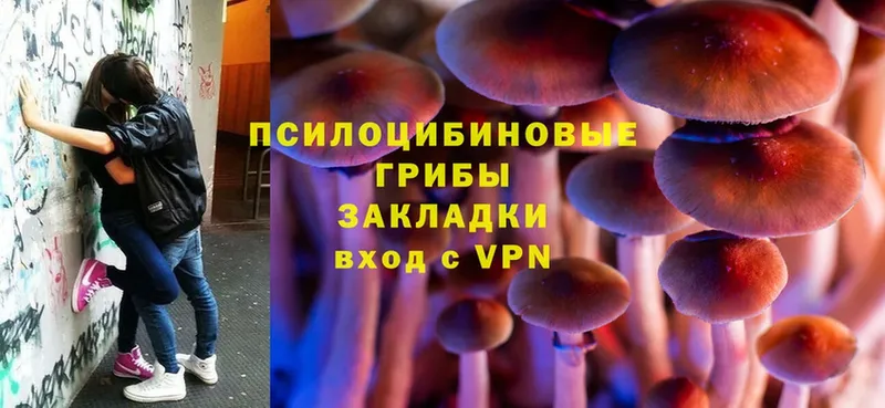 Галлюциногенные грибы Magic Shrooms  Кадников 